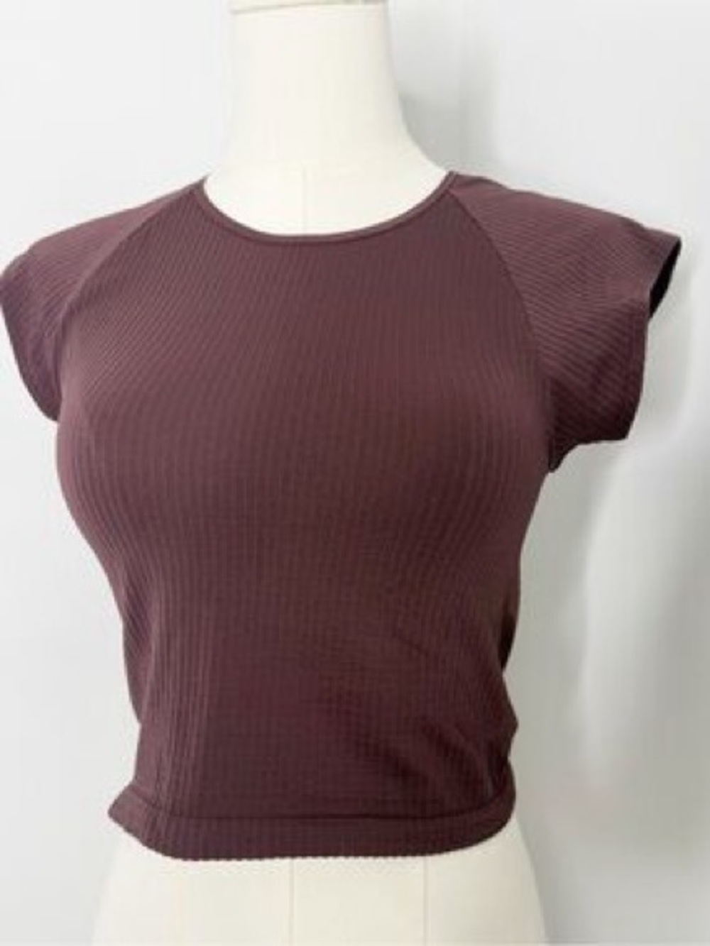 Anthro Ribbed Cap-Sleeve Crop Top in Plum